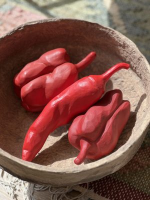Lot de 3 poivrons rouges Riviera Philippe Model