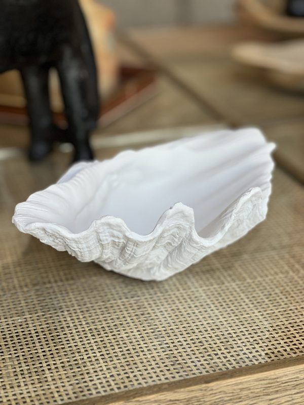 Coupe Coquillage – polyrésine – Image 2