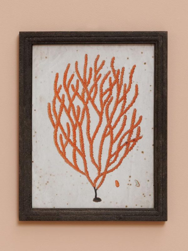 Cadre mural petit corail – 45 x 35 cm