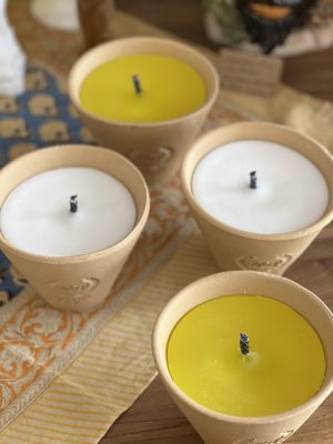 Pot des landes – citronnelle bio, jaune