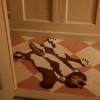 Petit tapis Ours Quin - marron, laine