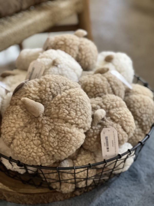 Citrouille bouclette petite - blanc – Image 4