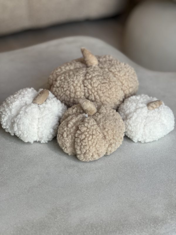 Citrouille bouclette petite - blanc – Image 3