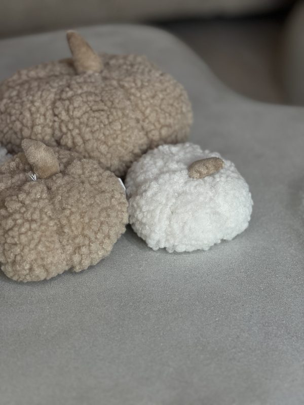 Citrouille bouclette petite - blanc – Image 2
