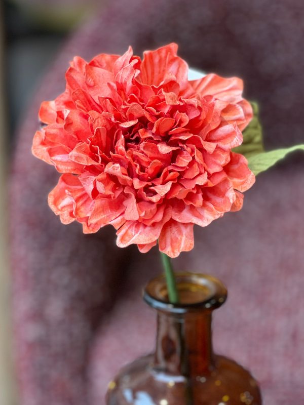 Dahlia - papier, grenade