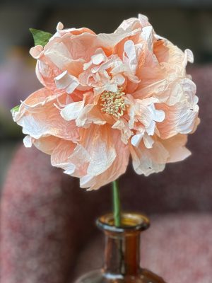 Pivoine – papier, orange