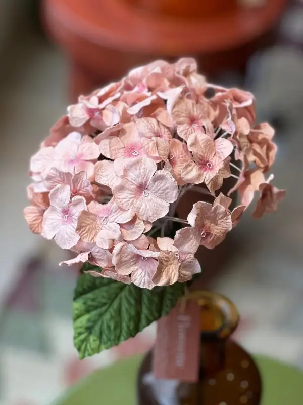 Hortensia - papier, rose