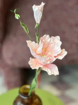 Lisianthus – papier, rose