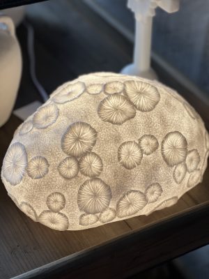 Lampe corail fossile – résine, blanc